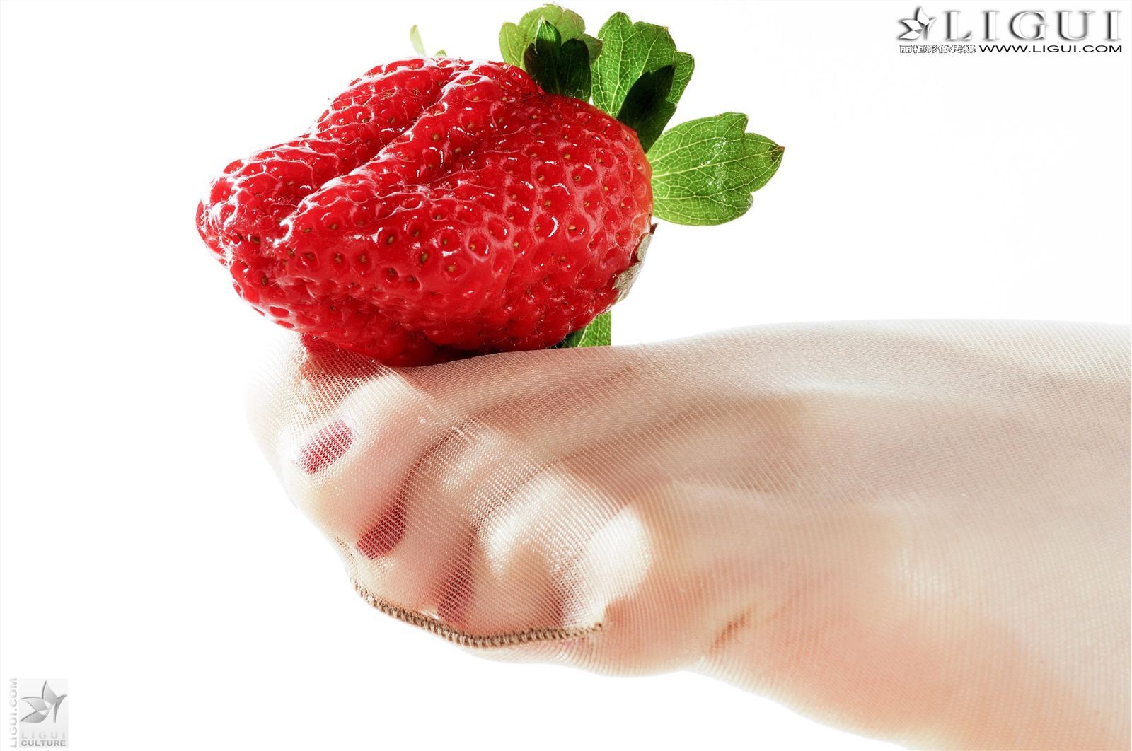 [Ligui丽柜]2012.09.20 Model 雯雯 国产性感美女图片